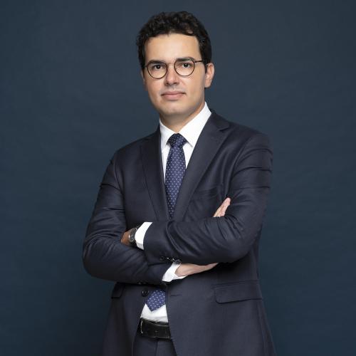 Hugo Zerbib
